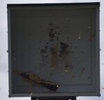 MER_1535.JPG