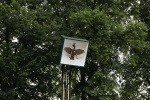 IMG_6963.JPG