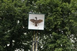 IMG_7006.JPG