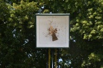 MMO_1235.JPG
