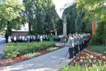 MMO_9161.JPG