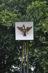 DSC_0597.JPG