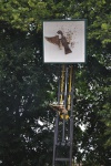 DSC_0642.JPG