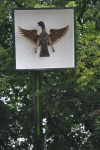 DSC_0383.JPG