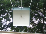 Schuetzenfest-Samstag-2007-231.jpg