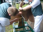 Schuetzenfest-Sonntag-2007-096.jpg