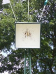Schuetzenfest-Sonntag-2007-136.jpg