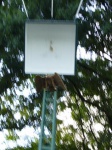 jungschuetzenkoenig2008-012.jpg