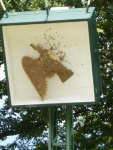 Vogelschiessen-Sonntag-087.jpg