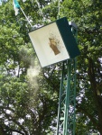 Vogelschiessen-Sonntag-102.jpg
