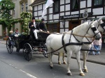 Stadtkoenigschiessen-12.07.2008-063.jpg