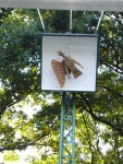 Stadtkoenigschiessen-12.07.2008-251.jpg