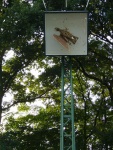 Stadtkoenigschiessen-12.07.2008-270.jpg