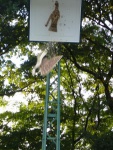 Stadtkoenigschiessen-12.07.2008-271.jpg