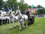 Stadtkoenigschiessen-12.07.2008-124.jpg