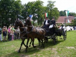 Stadtkoenigschiessen-12.07.2008-128.jpg