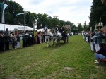 Stadtkoenigschiessen12.07.2008-132.jpg
