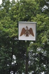 DSC_0145.JPG