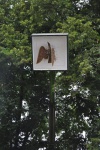 DSC_0162.JPG