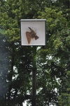 DSC_0164.JPG
