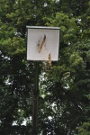 DSC_0211.JPG
