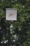 DSC_0220.JPG