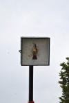DSC_0153.JPG