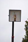 DSC_0157.JPG