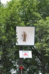 So-2011-104.jpg