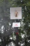 So-2011-114.jpg
