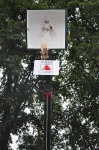 So-2011-116.jpg