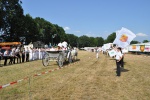 Schuetzenfest-Samstag-2010-126.jpg