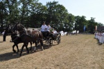 Schuetzenfest-Samstag-2010-130.jpg