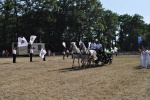 Schuetzenfest-Samstag-2010-136.jpg