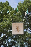 Schuetzenfest-Samstag-2010-101.jpg