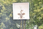 MMO_4314.JPG