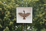 MMO_4354.JPG
